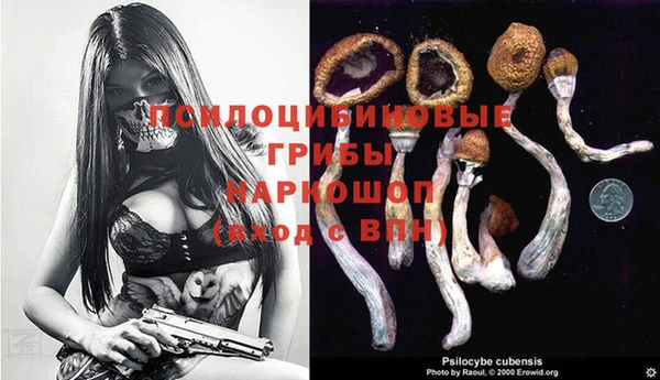 Альфа ПВП Майский