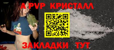 стафф Будённовск