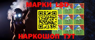 стафф Будённовск