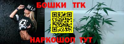 стафф Будённовск