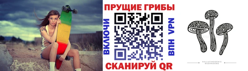 Галлюциногенные грибы Magic Shrooms  Владимир 