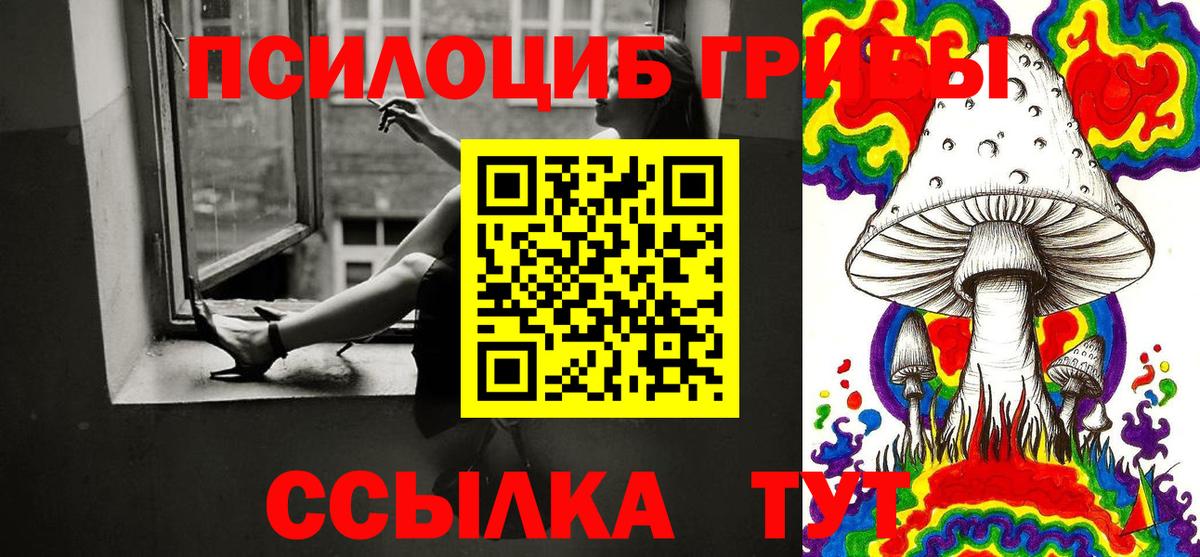 Псилоцибиновые грибы мухоморы Владимир