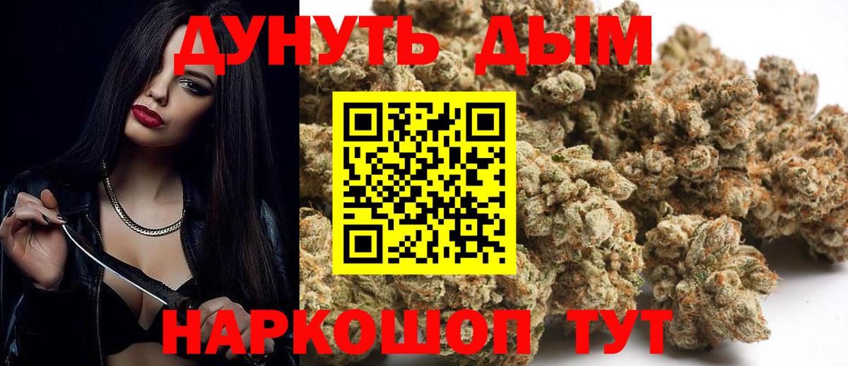 Бошки Шишки план Владимир